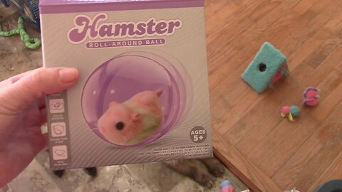 Hamster Roll Around Ball From Five Below Review 😀