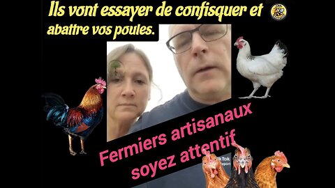 Amis agriculteurs 🇨🇦🇺🇸🇦🇺 , prenez note : ils vont essayer de confisquer et abattre vos poules.