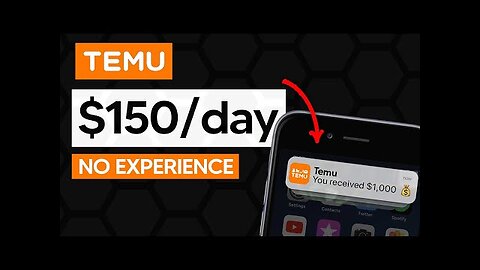 How To Make Money From TEMU as A Beginner (NO EXPERIENCE) Without Skills