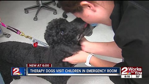 Karing K-9s visit kids hospitalized for the holiday