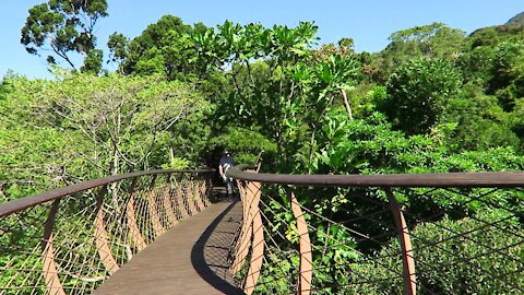 SOUTH AFRICA - Cape Town - Kirstenbosch National Botanical Garden (Video) (dTz)