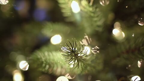 Beachfront B Roll Christmas Tree Bokeh Free to Use HD Stock Video Footage