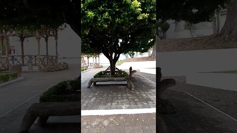 PRAÇA JD JULIO REGNIER PASSA QUATRO MINAS GERAIS CHAFARIZ