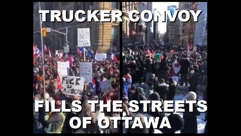 A Small Fringe Minority of Canadians Fill the Streets of Ottawa with the Trucker Convoy |Jan 29 2022