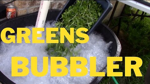 MICROURB FARMS - Greens Bubbler