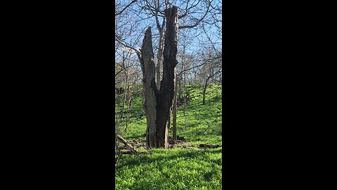 Hiking the trail