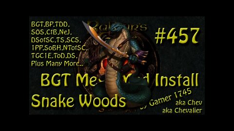 Let's Play Baldur's Gate Trilogy Mega Mod Part 457 Snake Woods