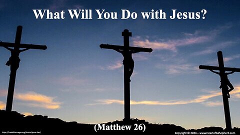 What Will You Do with Jesus? (Matthew 26) - Daily Bible study from www.HeartofAShepherd.com.