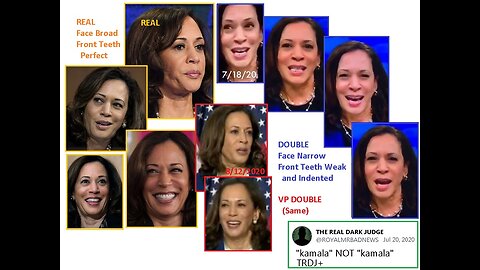 Laura Lomer Catches Kamala Harris Body Double at Palm Beach