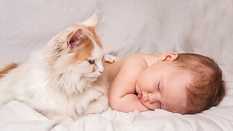 A Child's Joyful Bond with a Clever Cat