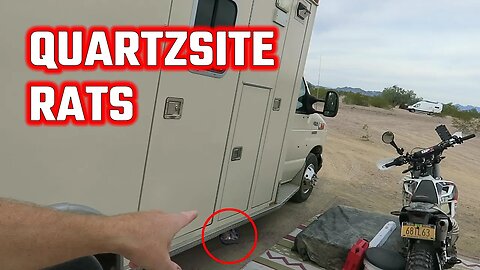 How I Keep Quartzsite Rats Away From My Camper | BougeRV Power Station