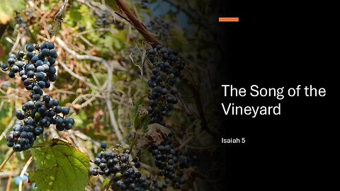 September 29, 2024 - "The Song of The Vineyard" (Isaiah 5)