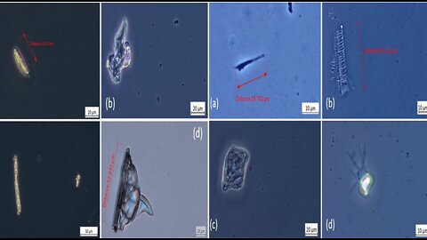 ANALISI RICARDO DELGADO ITALIANO:NANOTECNOLOGIA-OSSIDO DI GRAFENE NEI VACCINI covID