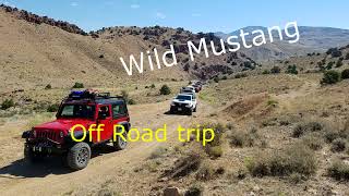 Overland trip in Nevada to see Wild Mustang