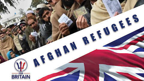 Afghans