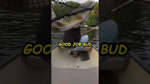 MONSTER Pickerel in a Canoe #comedy #fishing