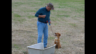 Teaching Scarlet how to go to Homeplate with Bill Hillmann