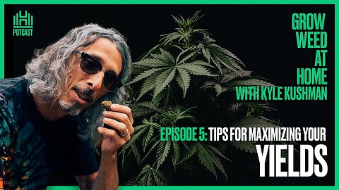 CANNABIS: Maximizing Your Yields! | Episode 5