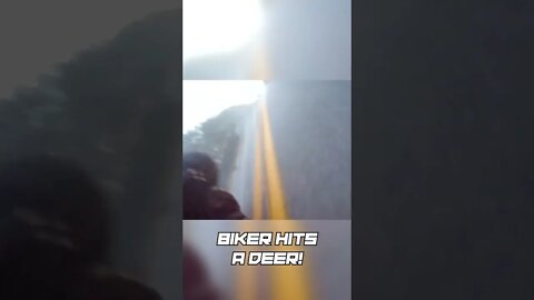 Bikers HITS a deer.