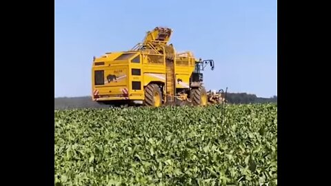 Heavy Agriculture Machines On Work