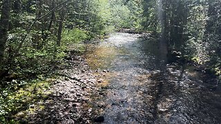 SILENT PERSPECTIVES (4K) @ Paradise Creek Campground | Gifford Pinchot National Forest Washington 4K