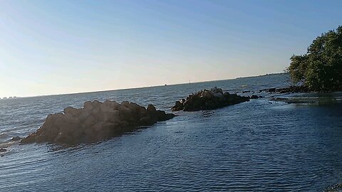 Low flying aircraft In Sarasota