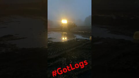 Just Getting Some Logs Unloaded. #landclearing #heavyequipment #treeservice #semitrucks