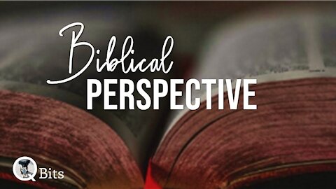 #313 // BIBLICAL PERSPECTIVE