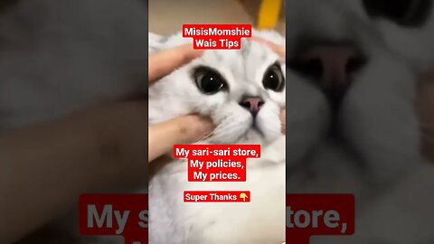 #catshorts #catlover #catdogfunny #catvideos #shortsviral #sarisaristore #misismomshie #savemore