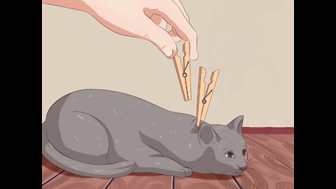 How To Disable Any Cat