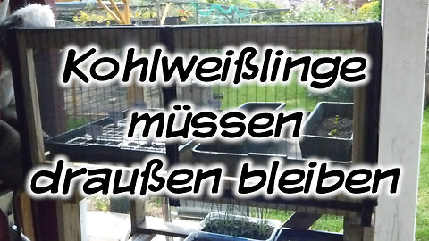 Mach's Dir. Selbst. - Kohlweißlinge müssen draußen bleiben