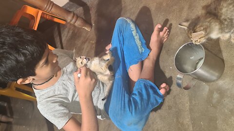 A baby giving milk to a motherless kitten