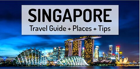 Travel Guide for Novices: 5 Indecent Reasons to Visit Singapore (2024 S G)