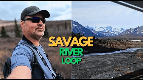 The BEST Hike in Denali National Park is at Savage River!