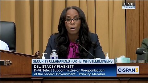 Rep Stacey Plaskett's Insane Rant Against Elon Musk