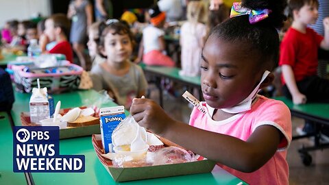 Families paying for school lunches grapple with recurring online transaction fees