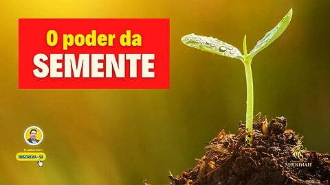 O Poder da Semente #poderdasemente #dízimoeofertas