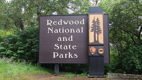 Visit To The Redwoods - Part 1