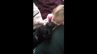 The dog kisses the girl