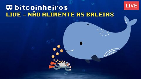 LIVE - Não alimente as baleias