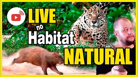 Live no Habitat Natural!