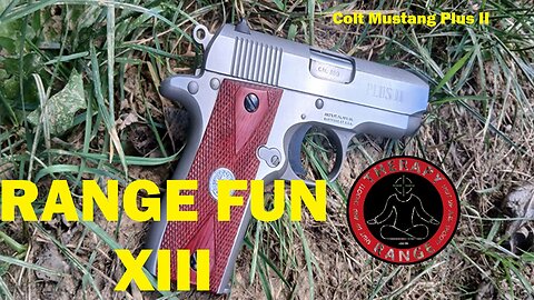 Range Fun XIII Colt Mustang +2