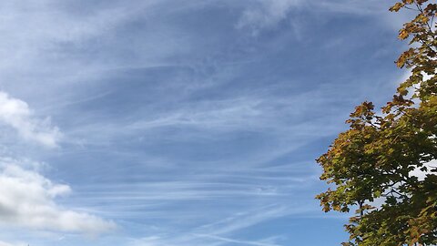 Sky and white lines chemtrails 03/09/2024