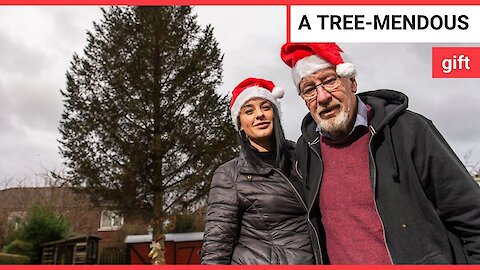 Grandparents celebrate granddaughter's first Christmas by planting a Christmas tree