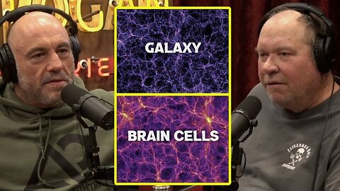 A Mind Blowing Theory | Joe Rogan & John Reeves