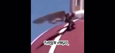 🚨Fallen Angel Or What…..? 🚨Caught In Europe🚨