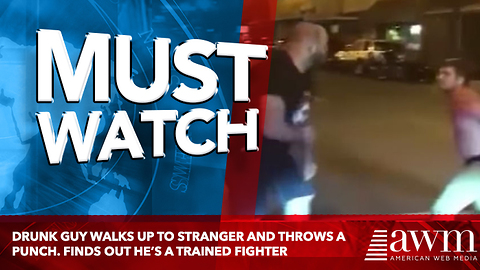 Drunk Guy Walks Up To Stranger And Throws A Punch. Finds Out He’s A Trained Fighter