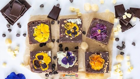 Pressed Flower Project: Brownies