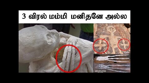 Peru three fingered mummy mystery | 3 விரல் மம்மி மனிதனே அல்ல | Mr.GK