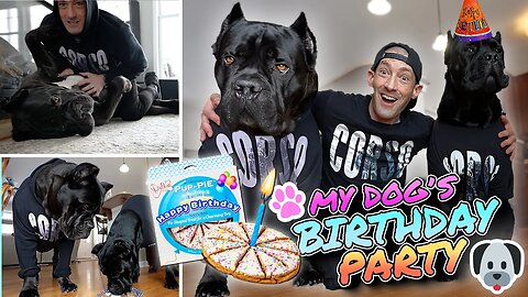 My Dog's Birthday! I HATED My Dog's Name!